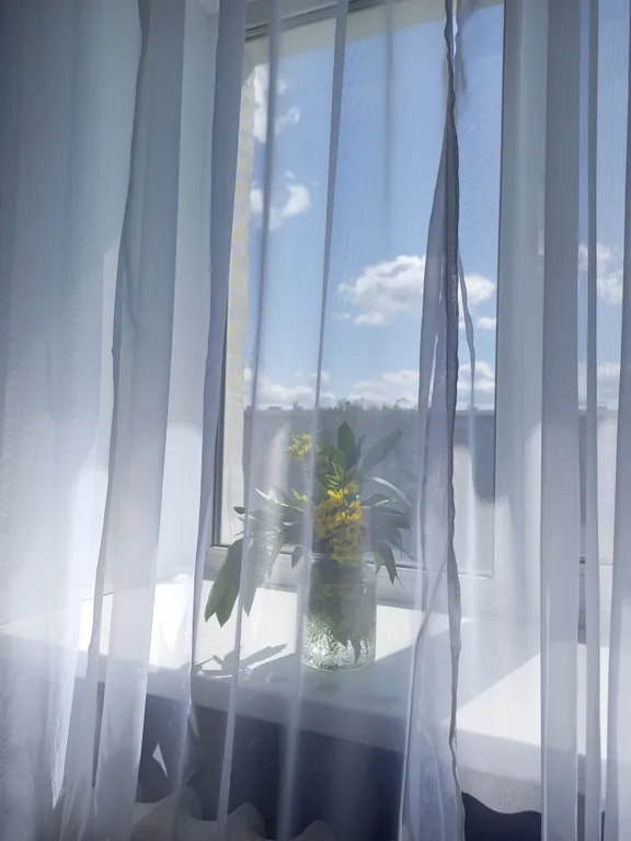 Студия в центре