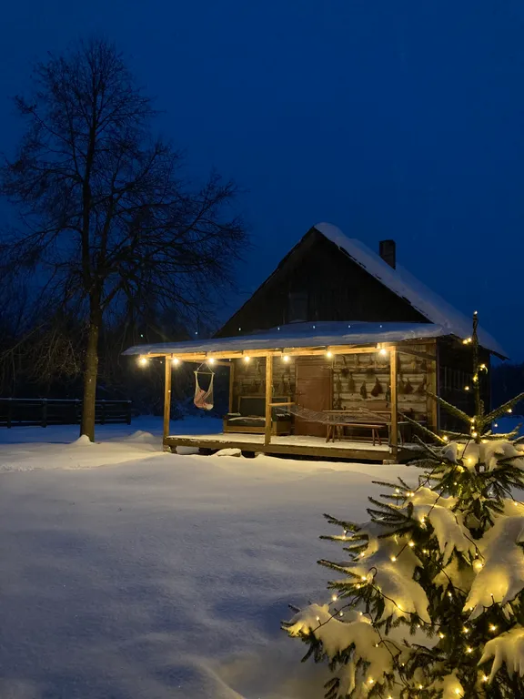 Коттедж Уютный лесной домик со всеми удобствами — аренда посуточно в Бобруйск