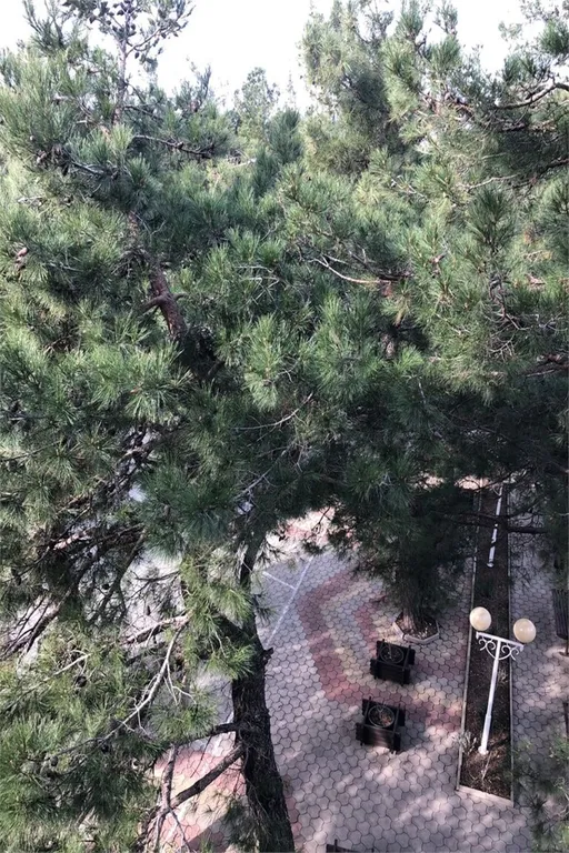 Квартира Комната — Геленджик