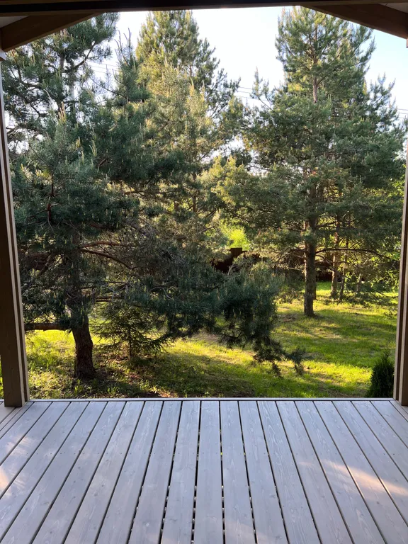 Коттедж Дубль дома с панорамными окнами на сосны — Семеновское