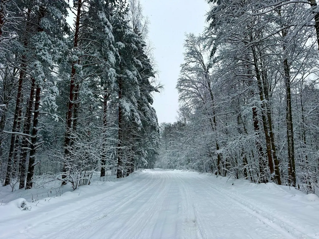 Коттедж Коттедж Лучшие место для вашего отдыха — Мга