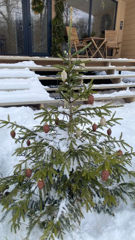 Дом у леса с русской баней