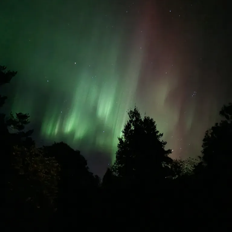 Дом Talotonttu на холме в окружении леса