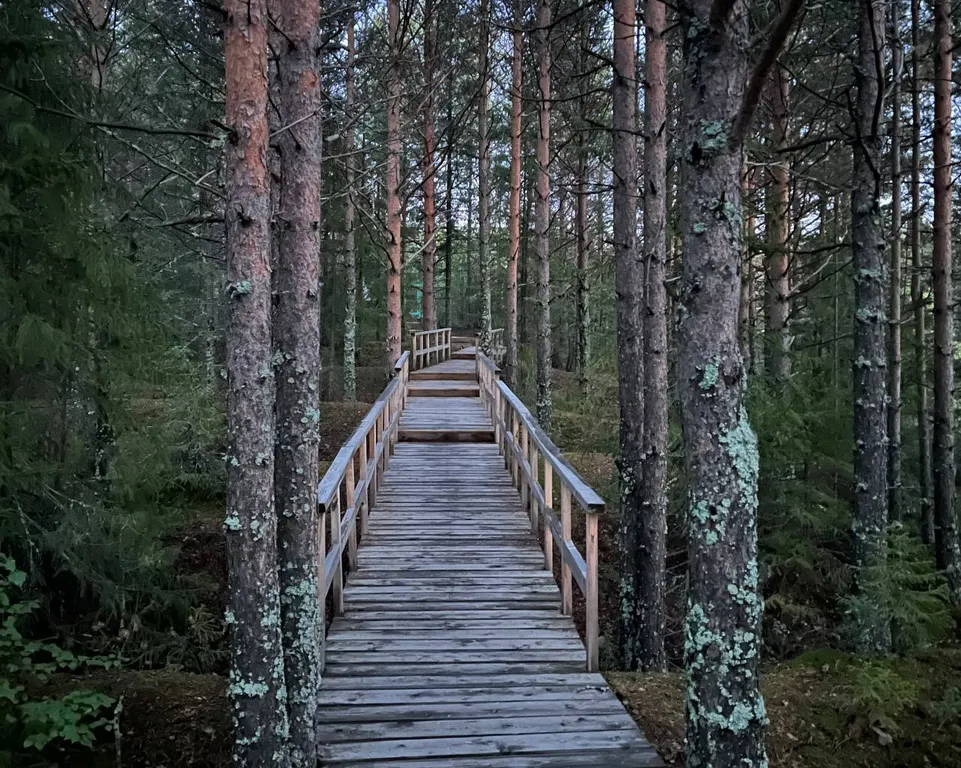 Дом у горы Белой с сауной