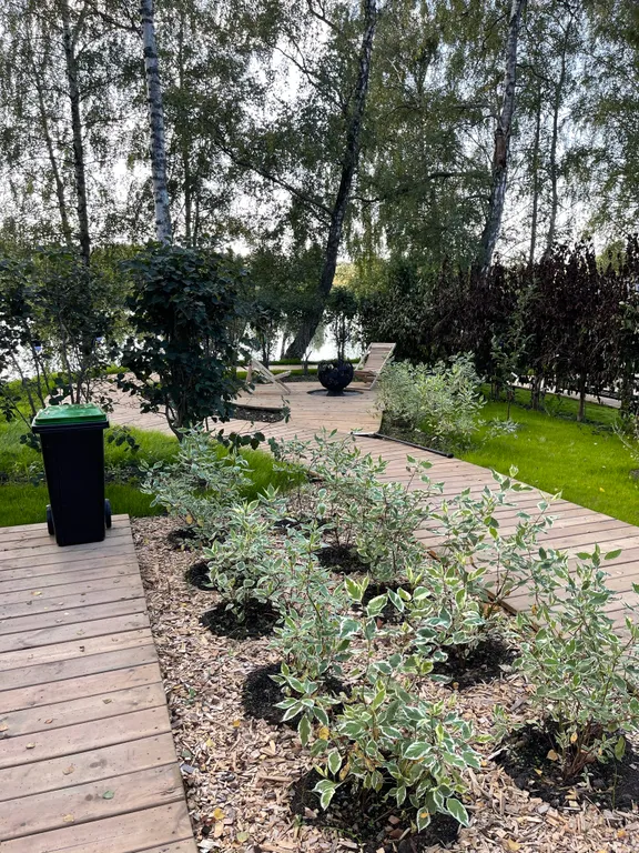 Уютный дом на берегу озера в березовой роще