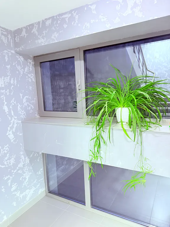 Дизайнерская квартира с видом на Ай-Петри