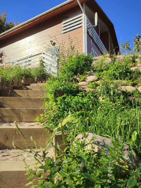 Птица синица House с огромным балконом у озера