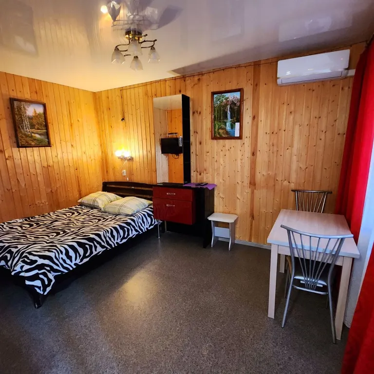 Студия с террасой