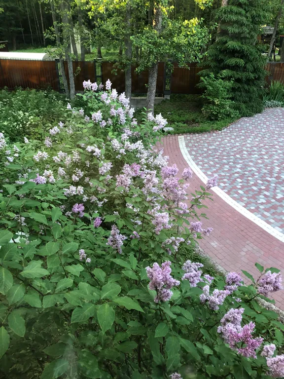 Коттедж Дом на берегу Финского залива — Зеленая Роща