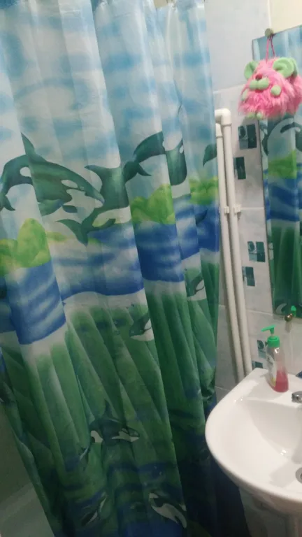 Квартира в районе ТЦ Рассвет