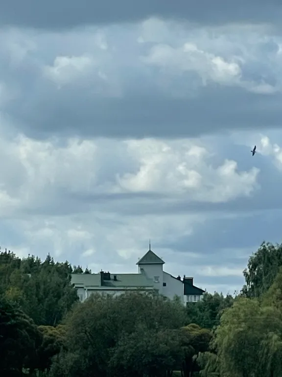 Великолепная квартира в сосновом бору на берегу водохранилища