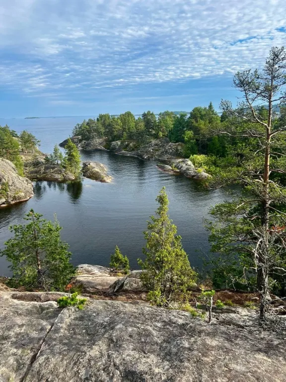 Дом из рубленого бревна с камином