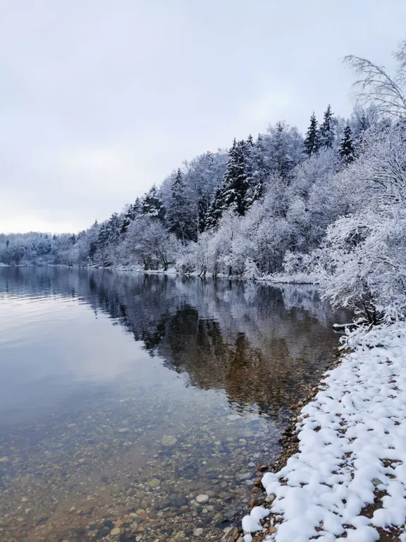 Коттедж Гостевой дом Дельфин — Можайск