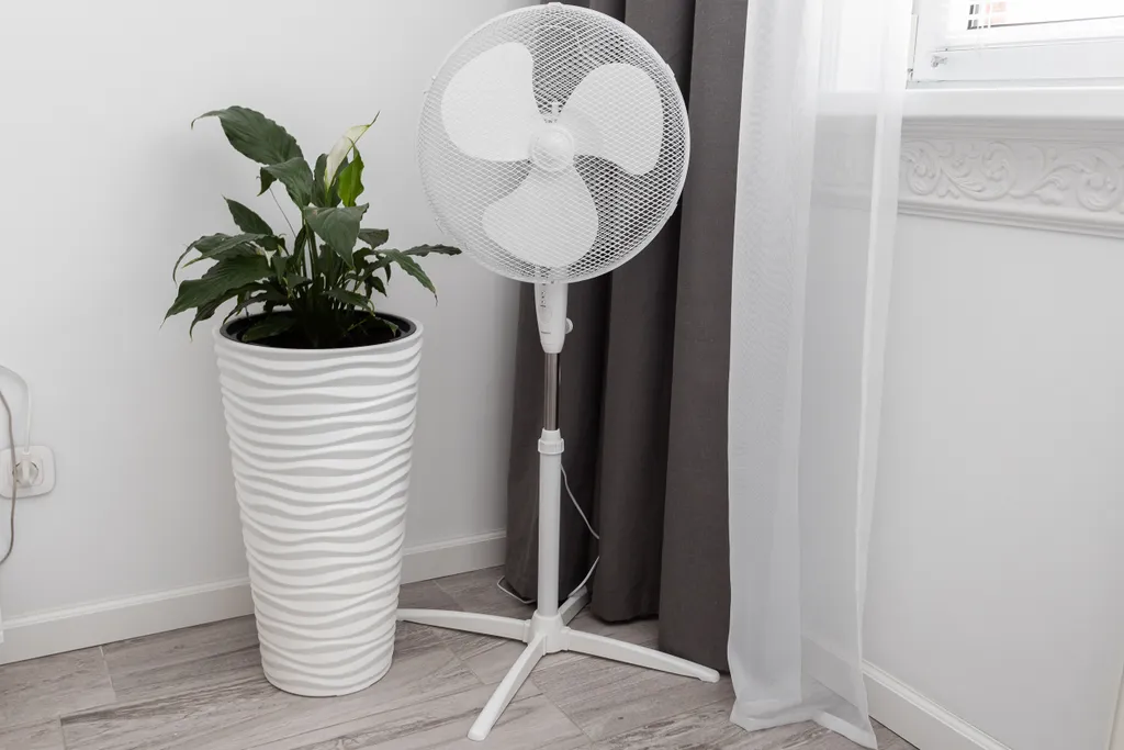 Квартира Квартира Альбус рядом электричка к морю — Калининград