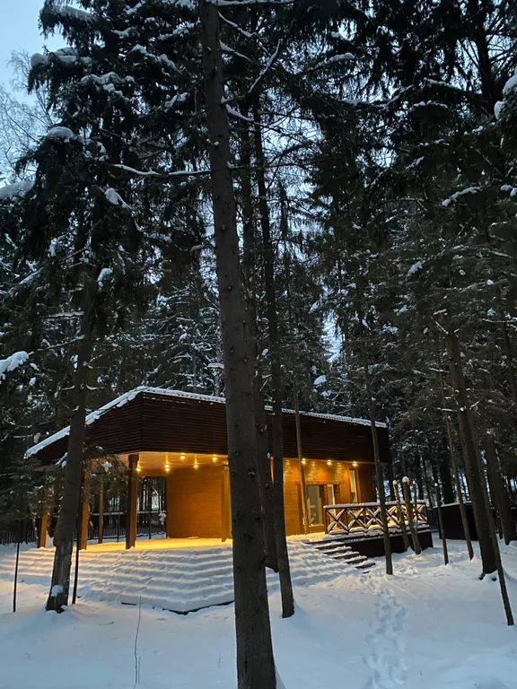 Уютный дом с баней в лесу