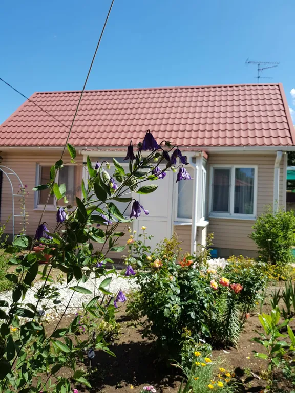 Коттедж Уютный домик в тихом дворе — аренда посуточно в Витязево