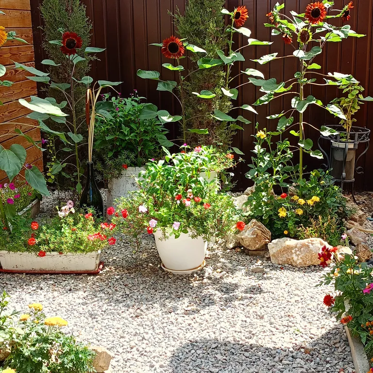 Эко-дом "Happy Home"