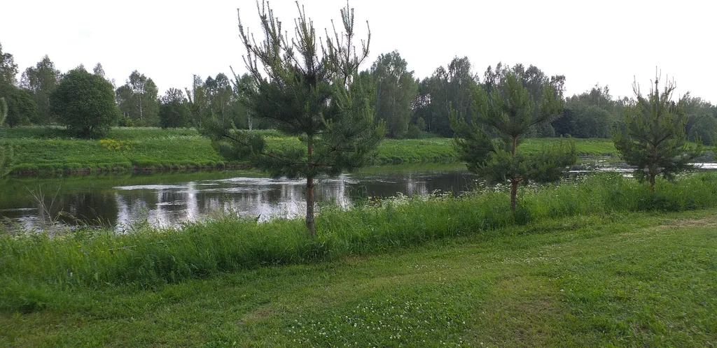 Коттедж Загородный дом у реки в лесу — Горки