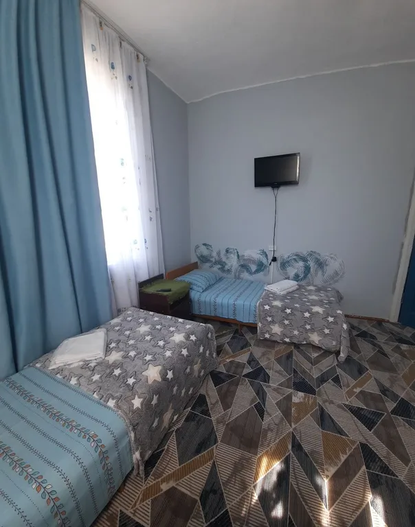 Трёхместный номер эконом с односпальными кроватями №2