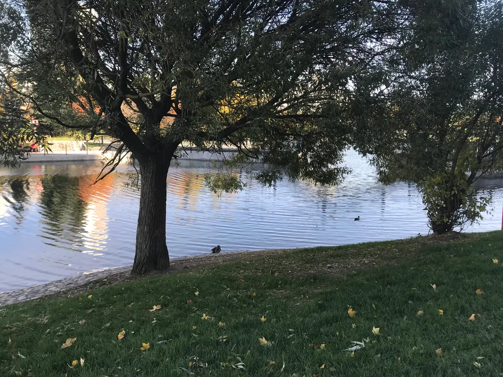 Компактная студия у библиотеки