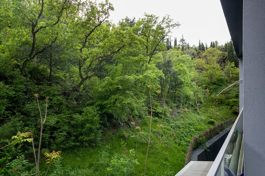 Студия с видом на бесконечную зелень