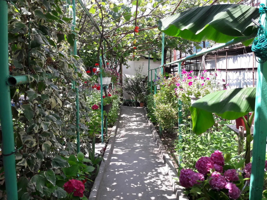 Квартира Комната — Гагра