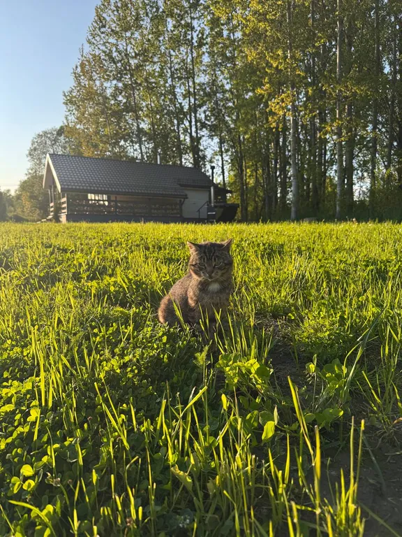 Коттедж Коттедж 2 Ленинградский Куршавель — Санкт-Петербург