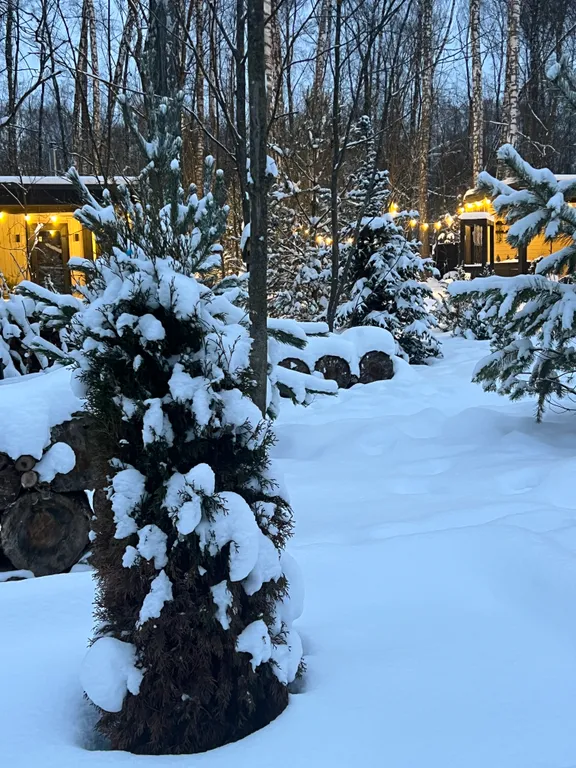 Уютный панорамный дом с баней в лесу