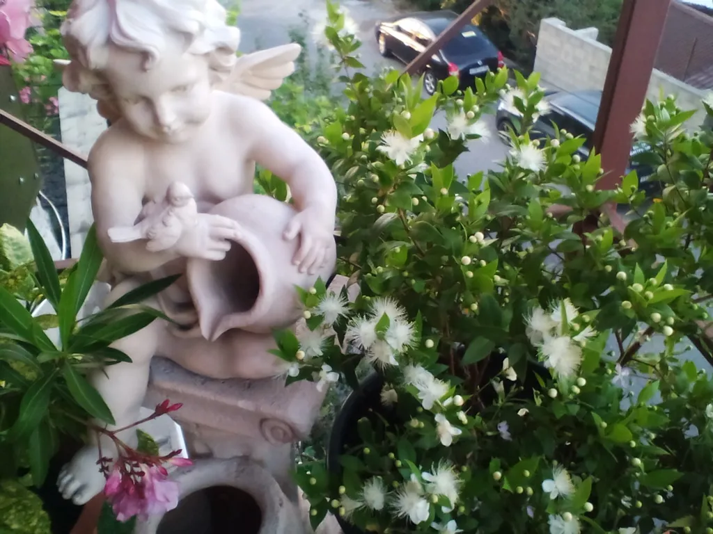 Уютная небольшая  студия, с видом на море и  на вершину Ай-Петри.