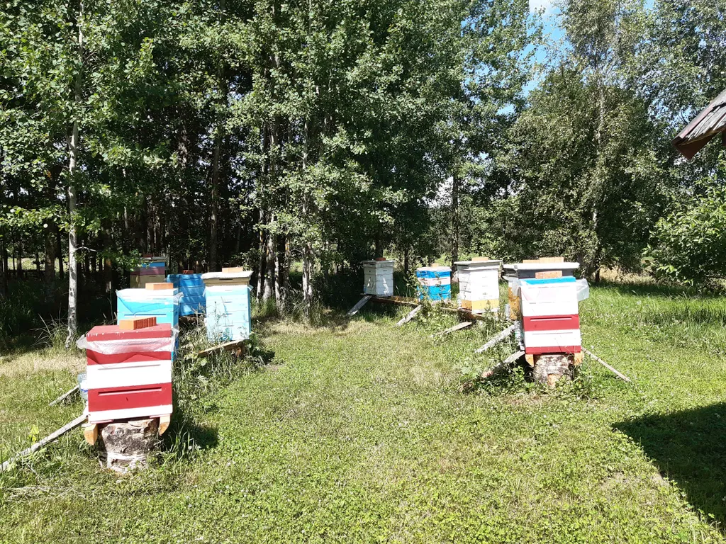 Дом в деревне