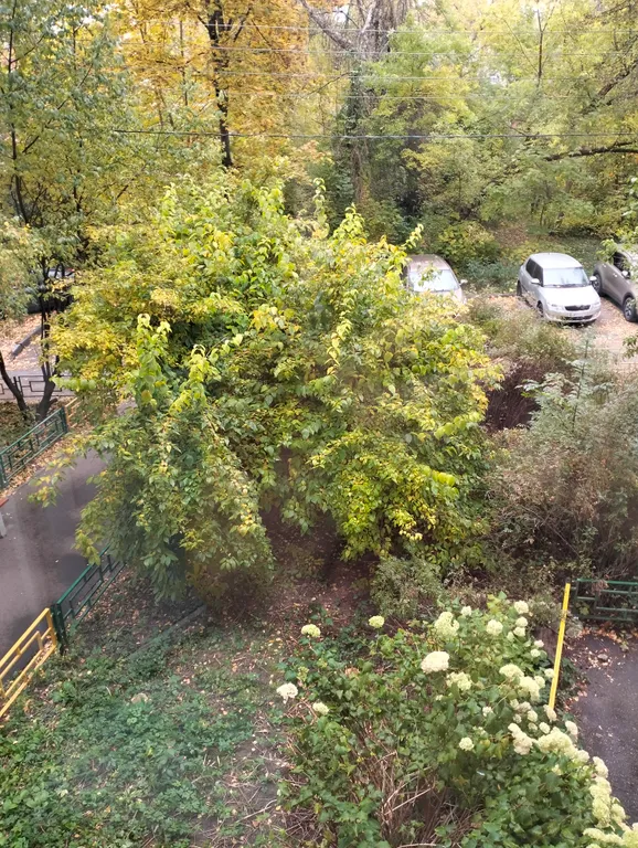 Квартира Уютная и тихая квартира в центре города — Нижний Новгород