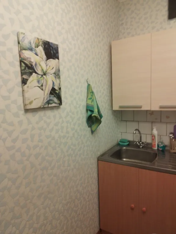 Уютная квартира в ретро стиле в центре города