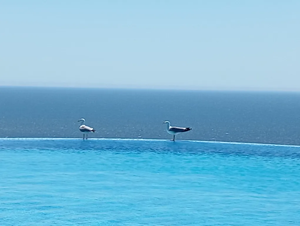 Прекрасные апартаменты в ЖК Ласпи