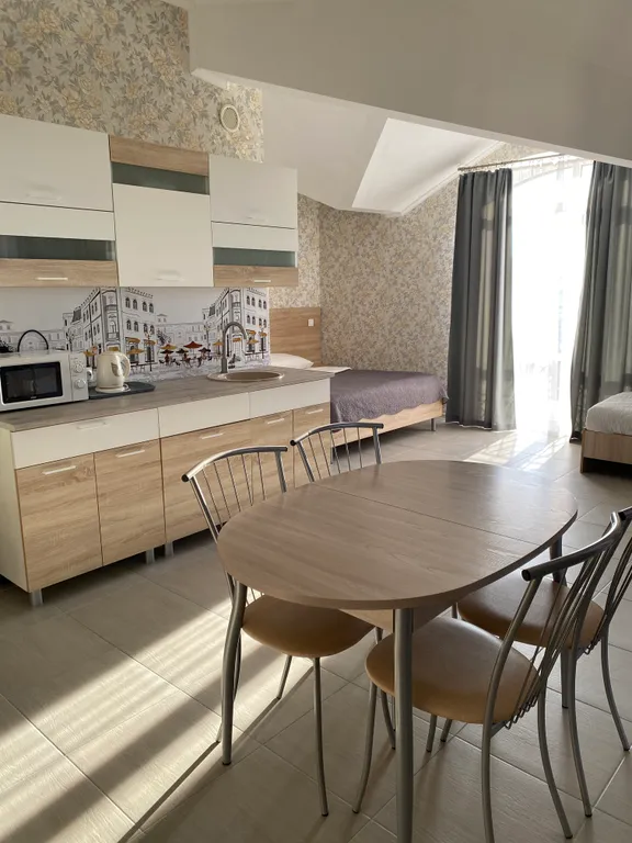 Студия на 4-х с кухней, балконом