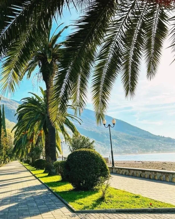 Уютная квартира у моря