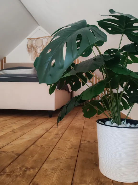 Дом 50m2 — чан, кухня, Wi-Fi