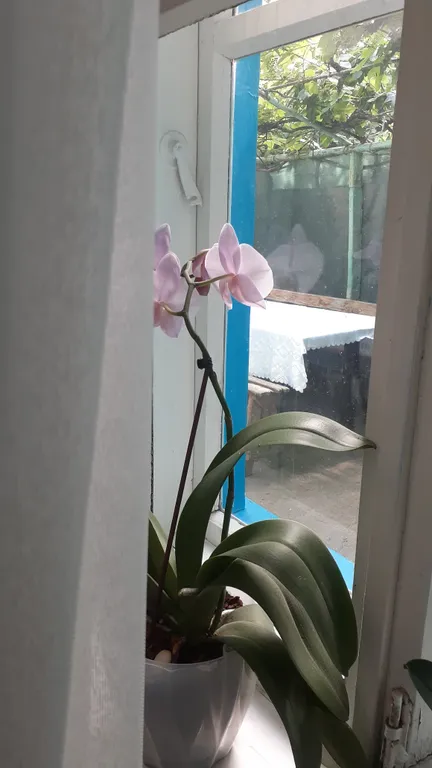 Коттедж 3-комнатный Дом — Судак