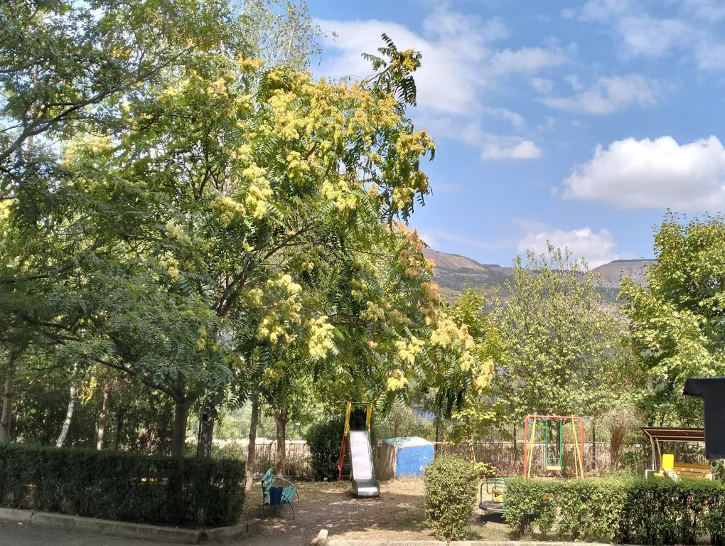 Комфортное убежище спокойствия и безмятежности для тела и ума