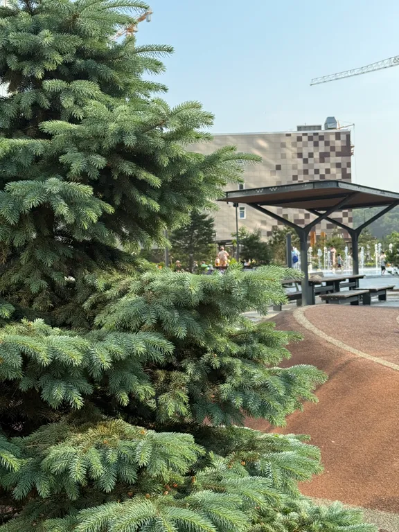 Очень чистая уютная квартира в одном из лучших ЖК города