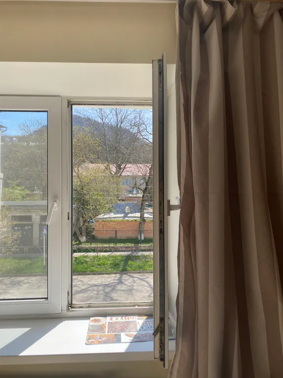 Маленькая студия рядом с лесом