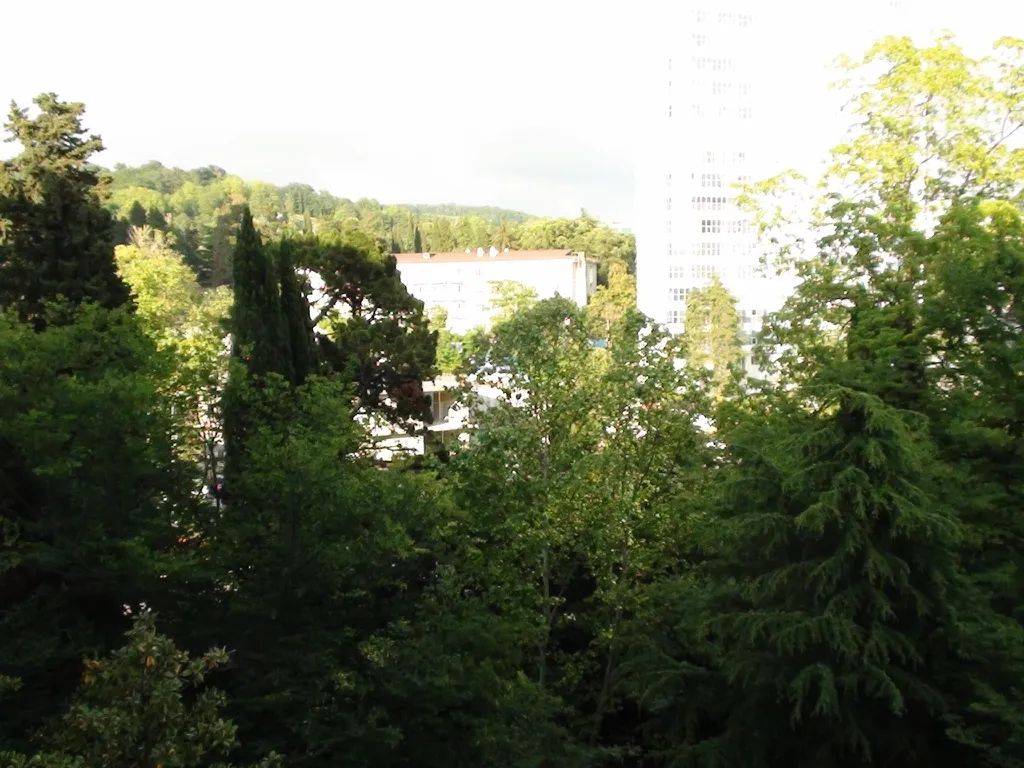 Квартира Апартаменты Светлана-Центр с видом на сад магнолий — Сочи