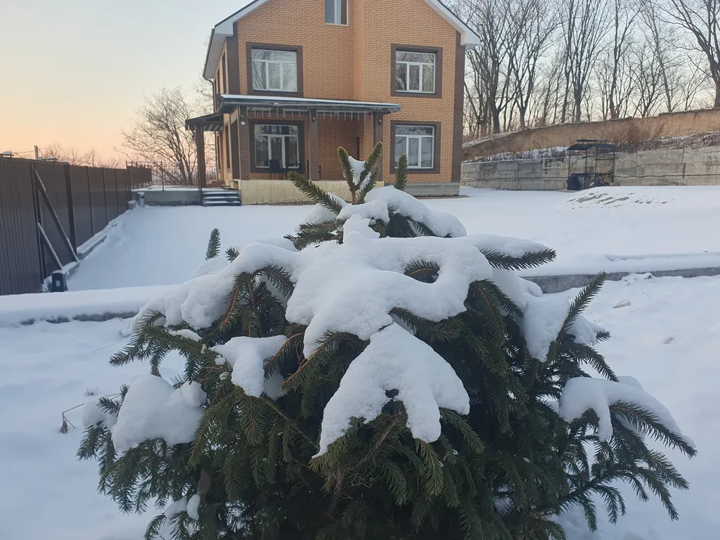 Дом для комфортного загородного отдыха в лесу рядом с морем