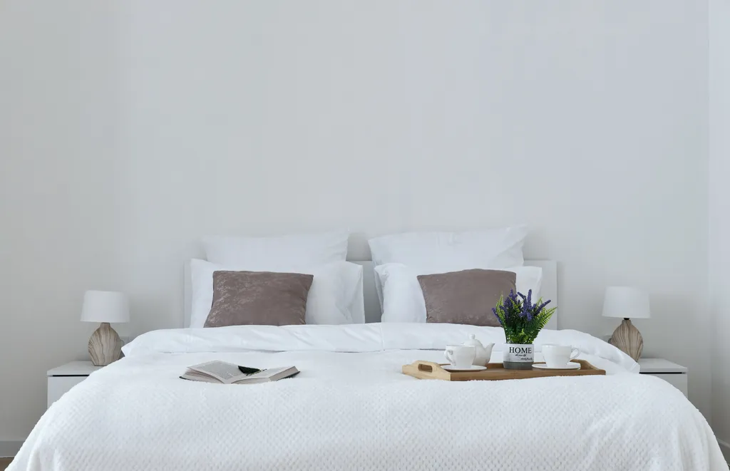 Квартира Просторная светлая квартира на Австрийской площади — Санкт-Петербург