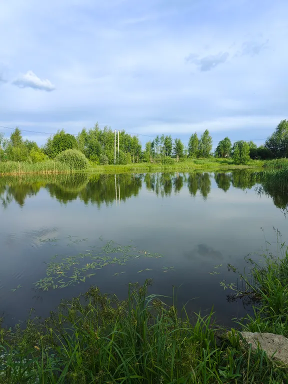 Прекрасный домик, на окраине города