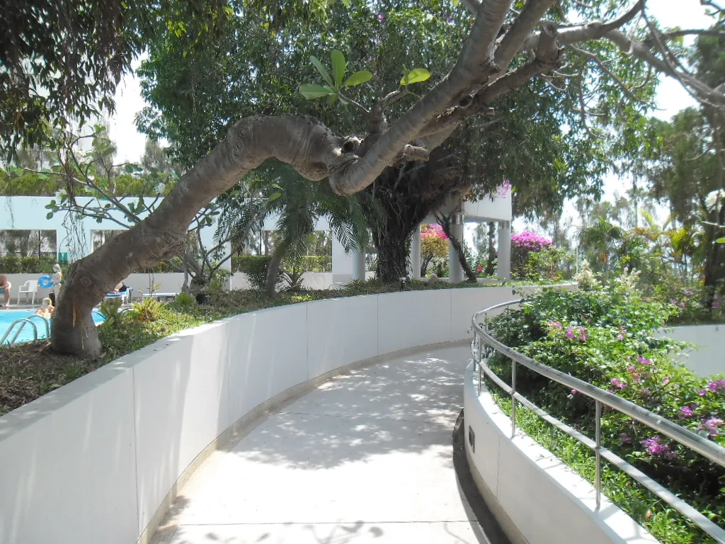 Студия с фронтальным видом на море