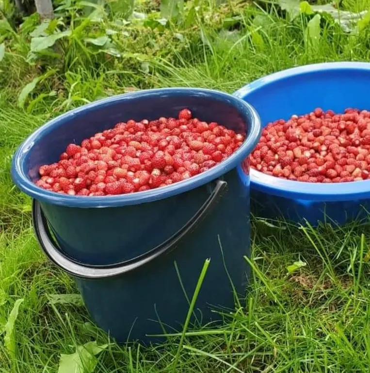 Дом у озера Мстижа