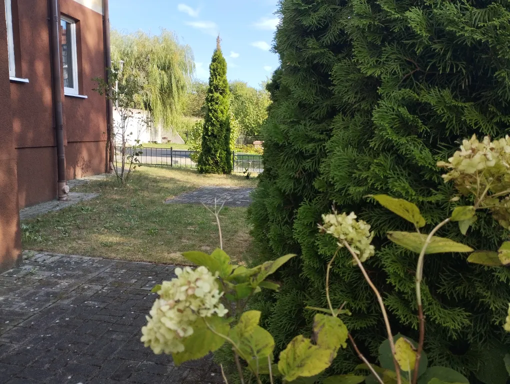 Квартира Уникальная квартира с выходом на свою зелёную террасу, до моря 15 минут — Светлогорск