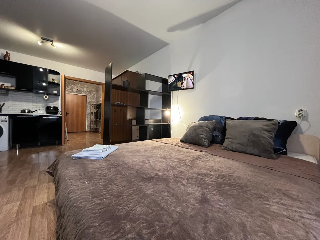 Уютная студия в Северном с кроватью и диваном