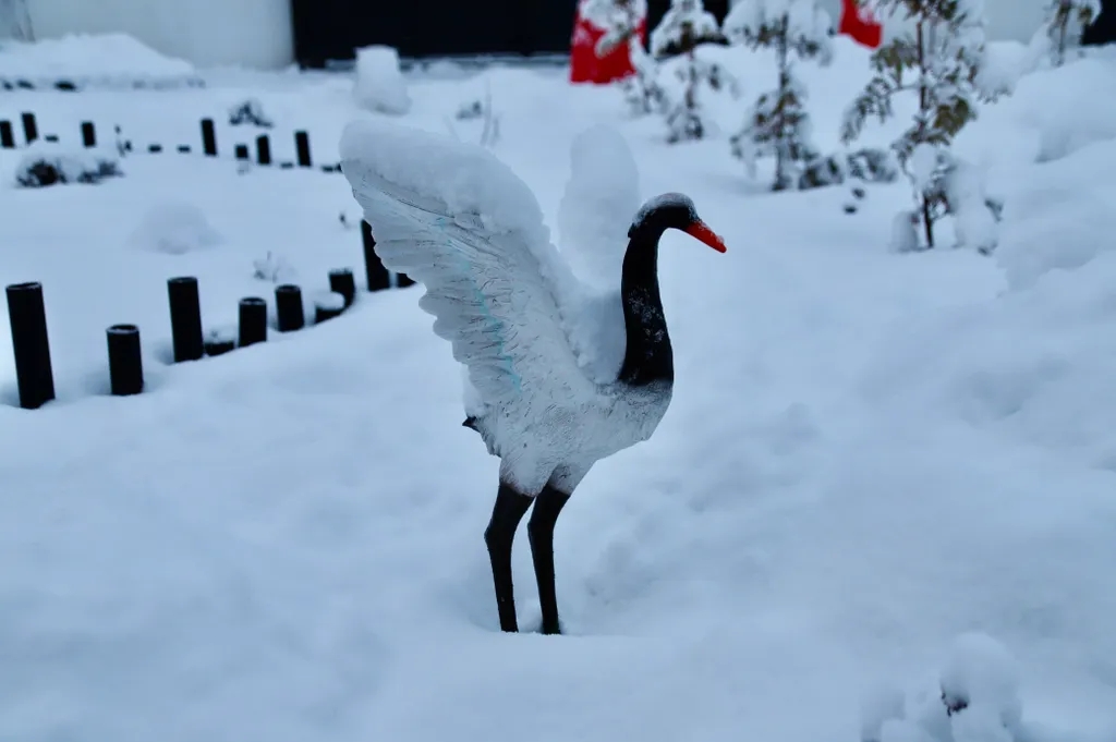 База отдыха Хэйлун Дом № 5 Шэньчжэнь вид на озера