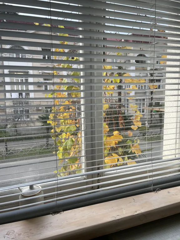 Уютная квартира в уютном месте